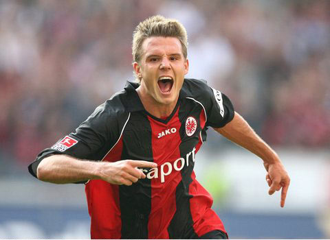 近年来在国 近年来在国